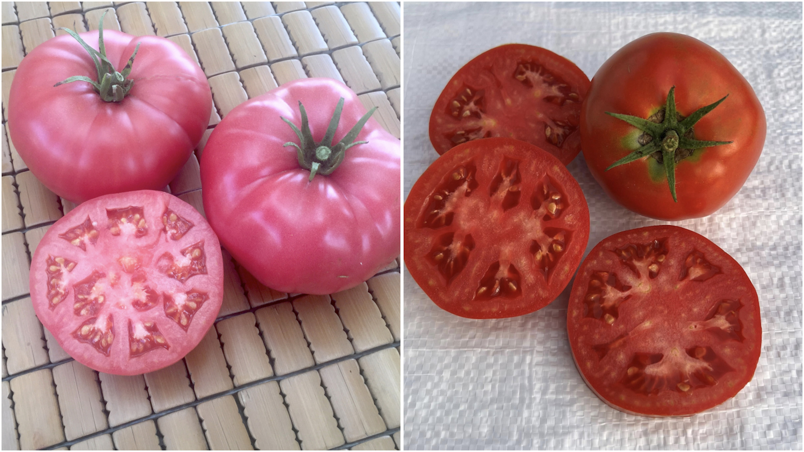 Tomato Patio Beefsteaks 4 pc. - R89786