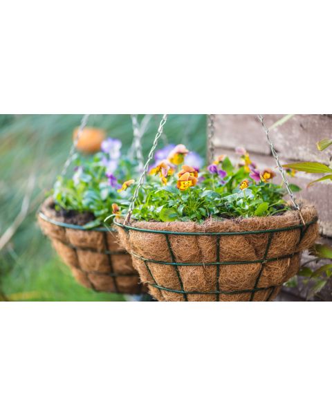 Hanging Baskets with Chain and Coco Liner 2 pc. R61935