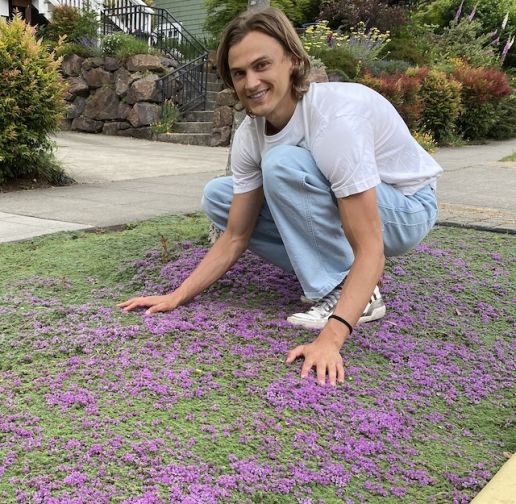 Trample Me Flowering Thyme 6 Pc, Thyme As Ground Cover Plant