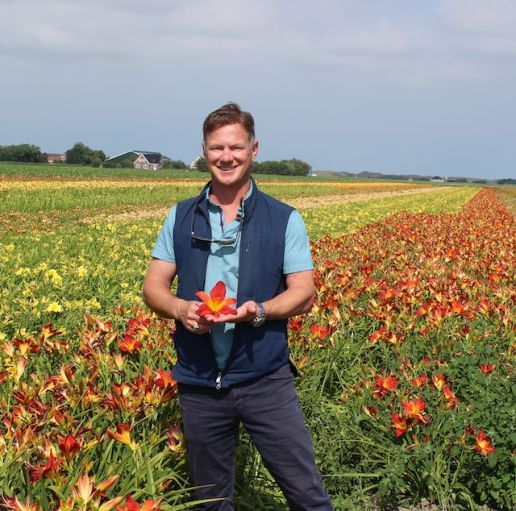 Dutch Growers' Pick ReBlooming Daylilies 12 pc.